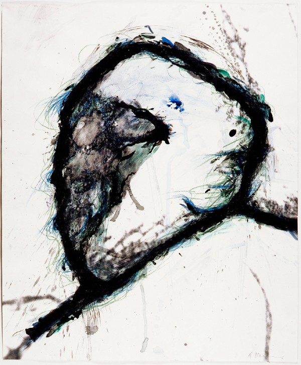 Arnulf Rainer. Bilder-Zeichnungen-Grafik