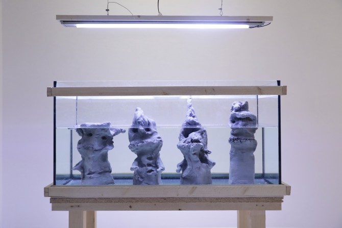 Mahdad Alizadeh. nonexisted dialogues: the Reverse Flow